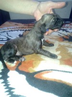 /album/kairos-gallery-/gold-bm-boy-jpg2/